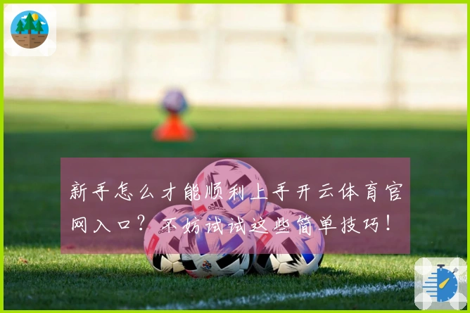 新手怎么才能顺利上手开云体育官网入口？不妨试试这些简单技巧！