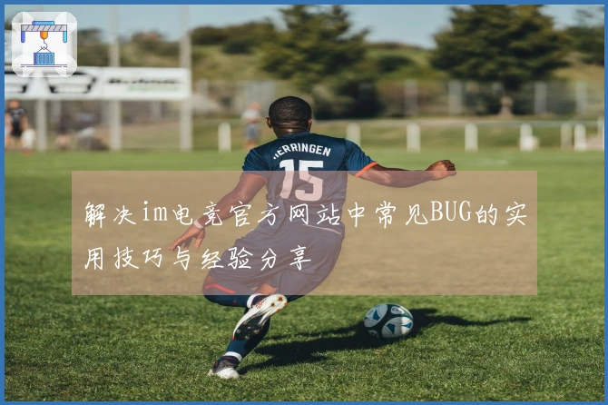 解决im电竞官方网站中常见BUG的实用技巧与经验分享