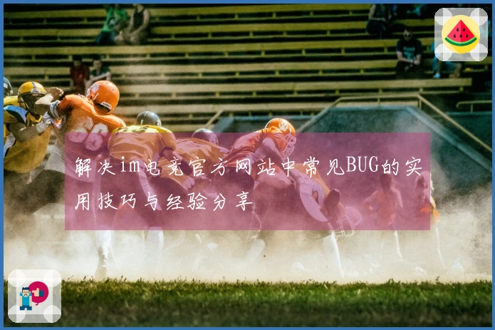 解决im电竞官方网站中常见BUG的实用技巧与经验分享