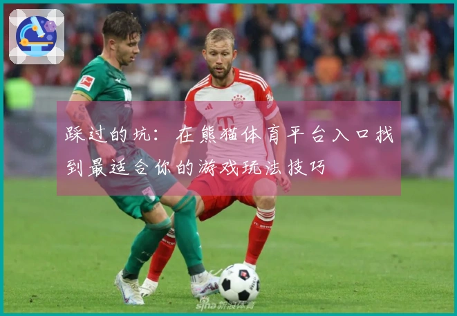 踩过的坑：在熊猫体育平台入口找到最适合你的游戏玩法技巧