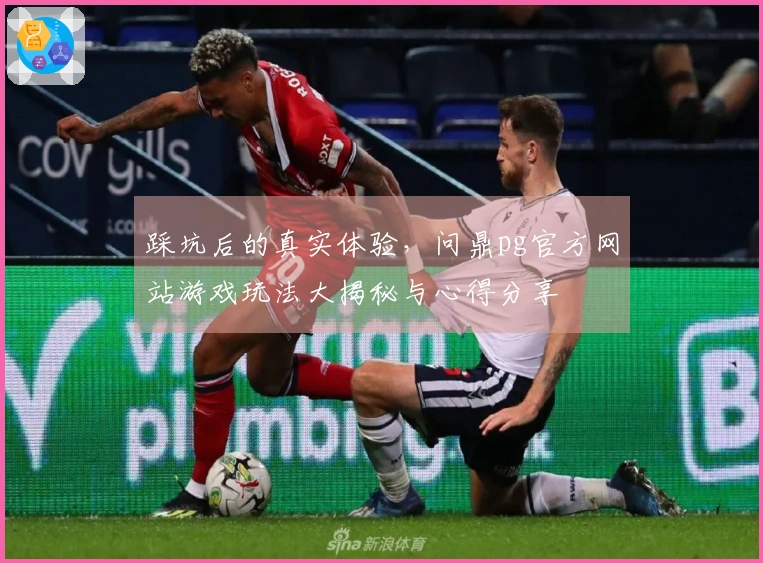 踩坑后的真实体验，问鼎pg官方网站游戏玩法大揭秘与心得分享