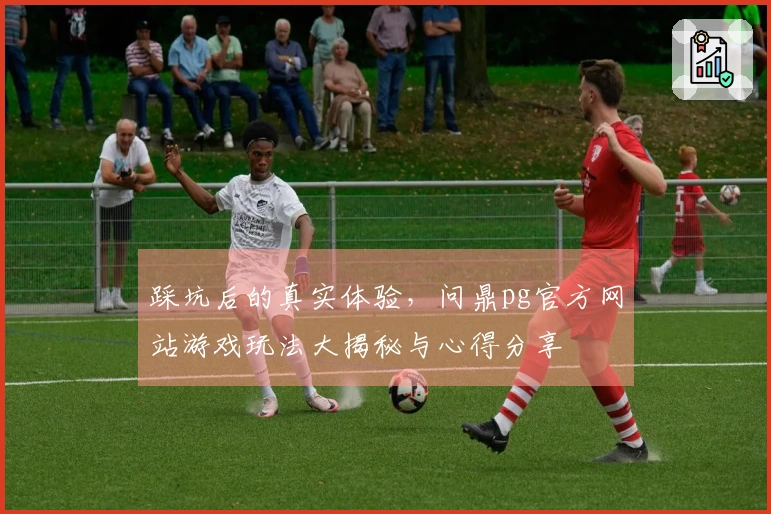 踩坑后的真实体验，问鼎pg官方网站游戏玩法大揭秘与心得分享